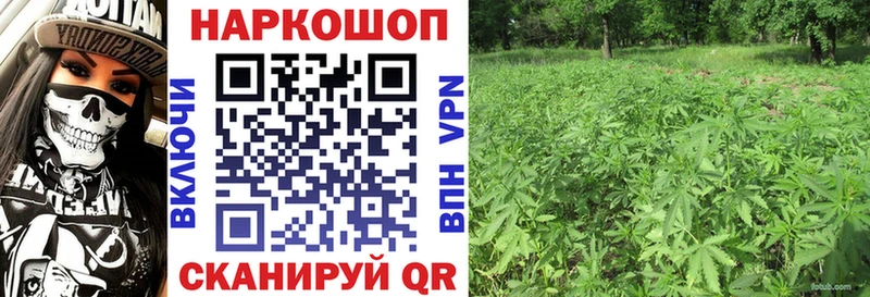 Купить закладку Гашиш  Экстази  МЕТАМФЕТАМИН  КОКАИН  Мефедрон  СК  Мглин