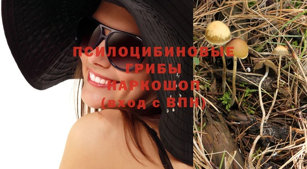 прущий лед Бронницы