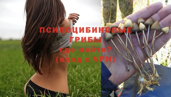 каннабис Бородино