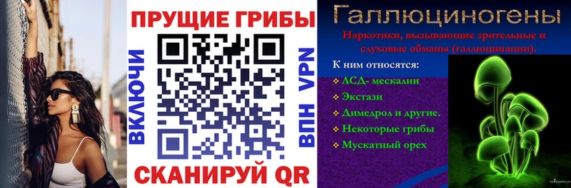 Псилоцибиновые грибы ЛСД  Купить закладки  Мглин 